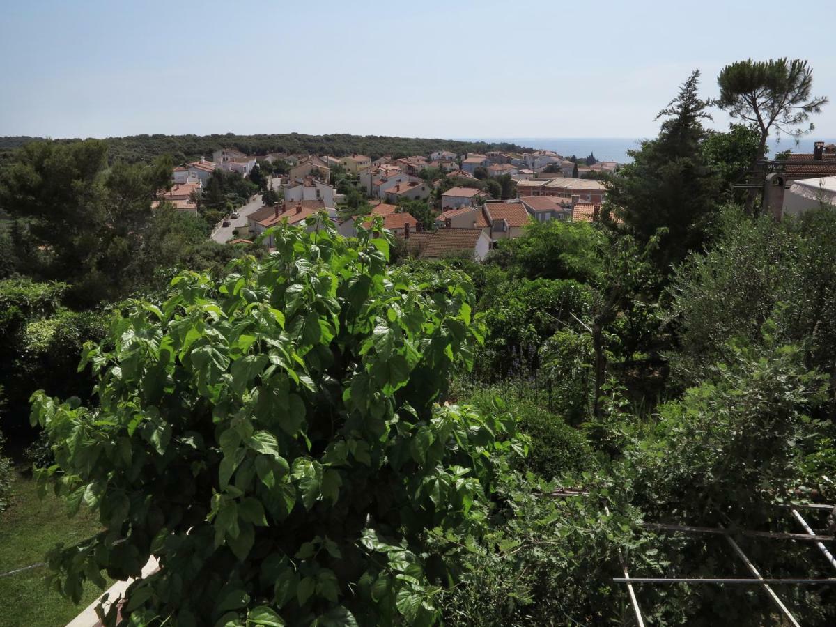Apartments Potocki ميدولين المظهر الخارجي الصورة